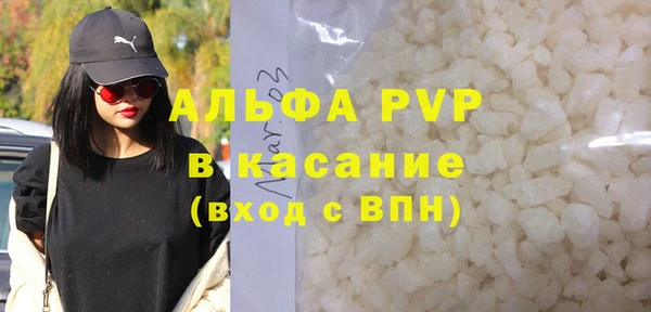 прущие грибы Аркадак