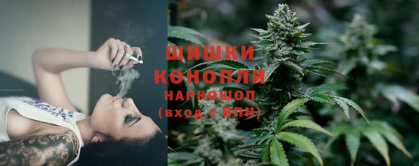 кокс Арсеньев