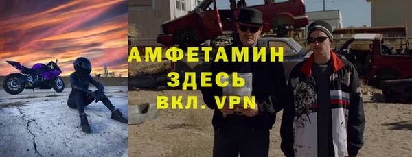 прущие грибы Аркадак