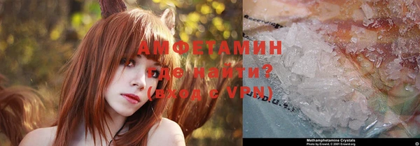 прущие грибы Аркадак