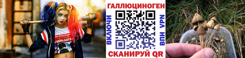 Галлюциногенные грибы мухоморы  Джанкой 