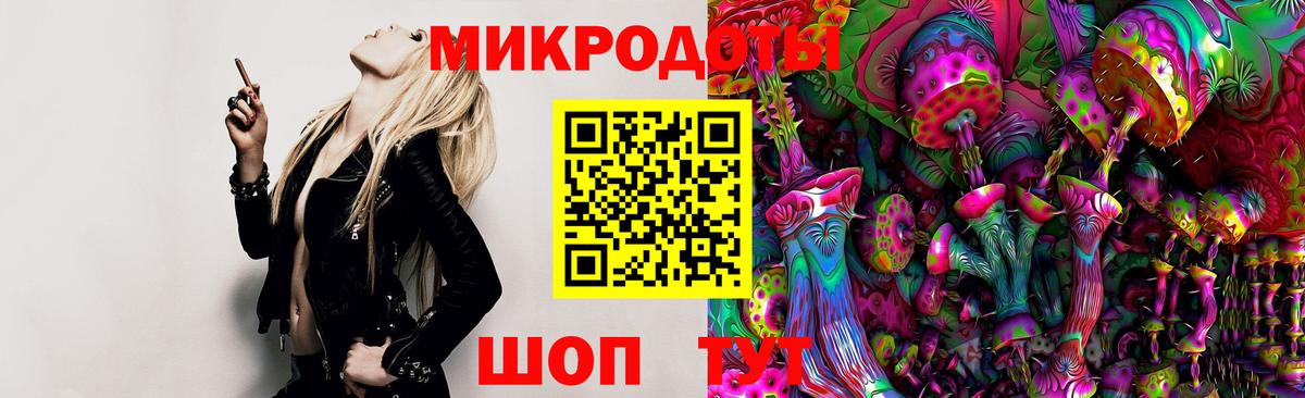 Галлюциногенные грибы мухоморы Джанкой
