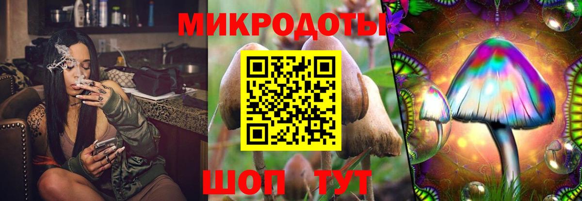 Джанкой  Псилоцибиновые грибы GOLDEN TEACHER  Галлюциногенные грибы Magic Shrooms  Вход с VPN 